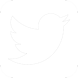 Logo Twitter